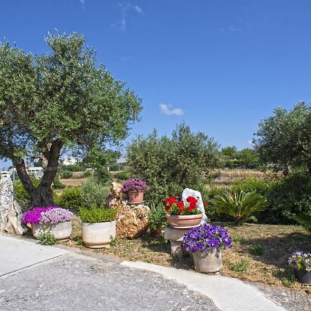 ألبيروبيللو B&B Il Brigante المظهر الخارجي الصورة