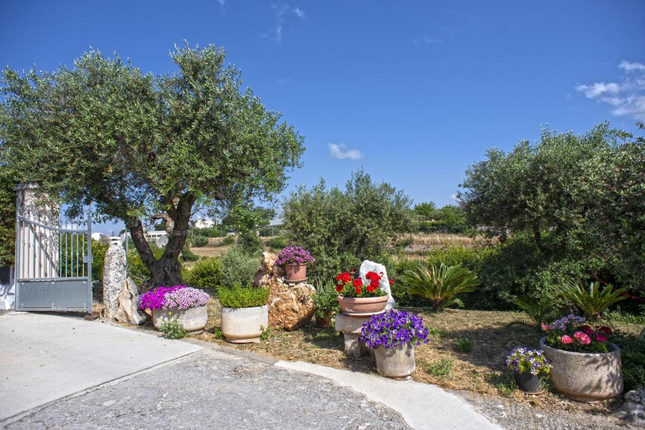 ألبيروبيللو B&B Il Brigante المظهر الخارجي الصورة