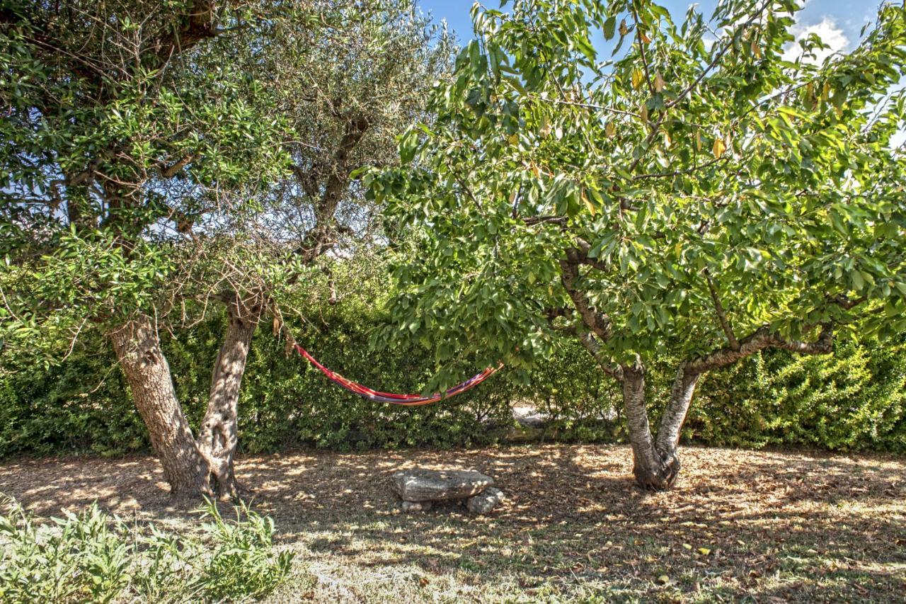ألبيروبيللو B&B Il Brigante المظهر الخارجي الصورة