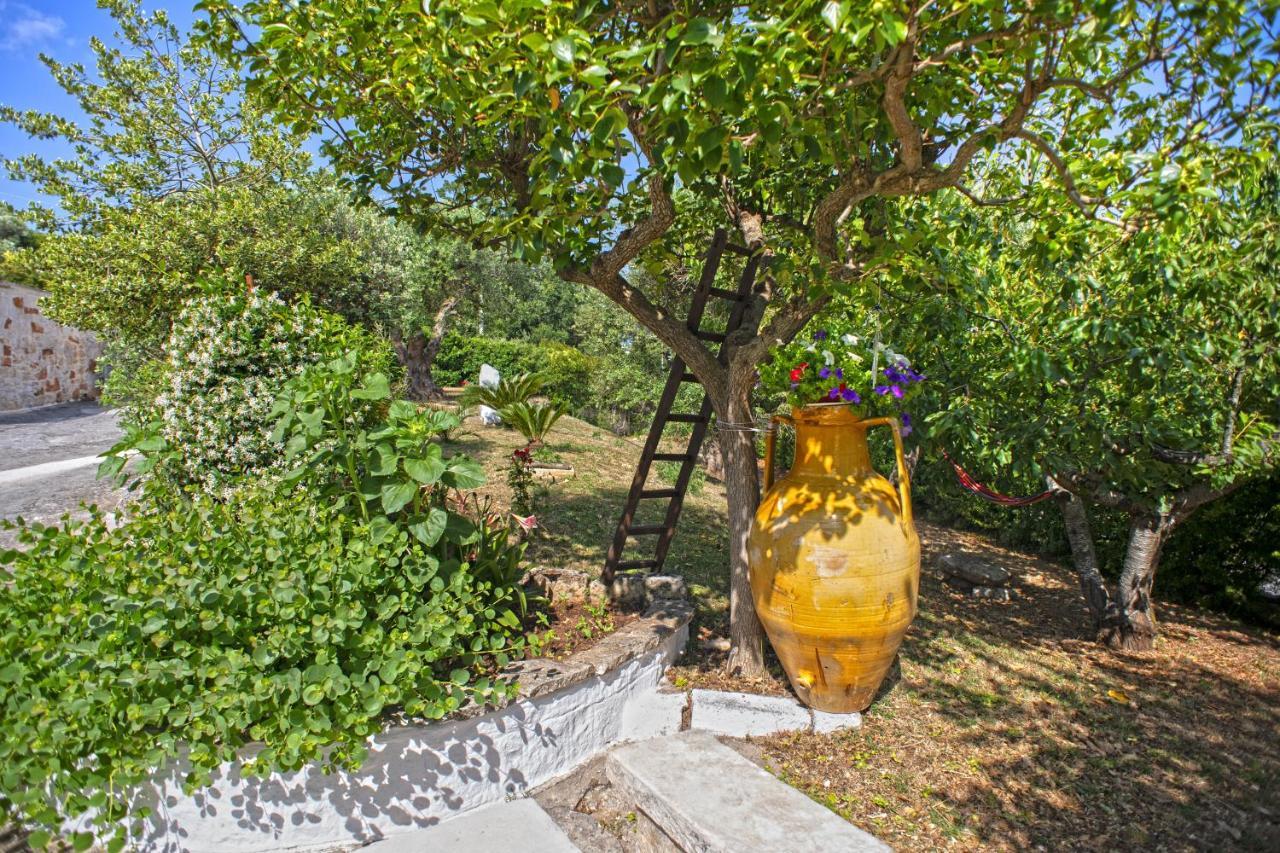 ألبيروبيللو B&B Il Brigante المظهر الخارجي الصورة